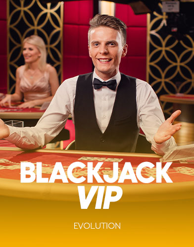 Blackjack VIP 12