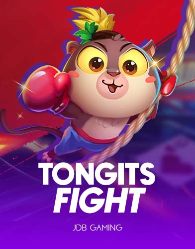Tongits Fight